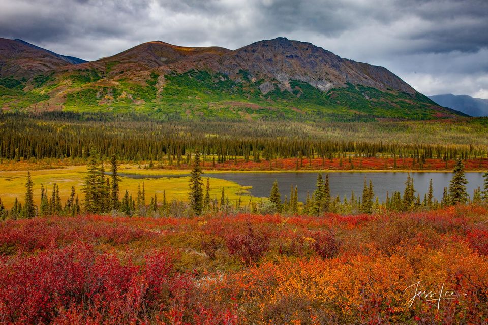 Alaskan Tundra Changing Seasons | Alaska | USA | Fine Art Photos by ...