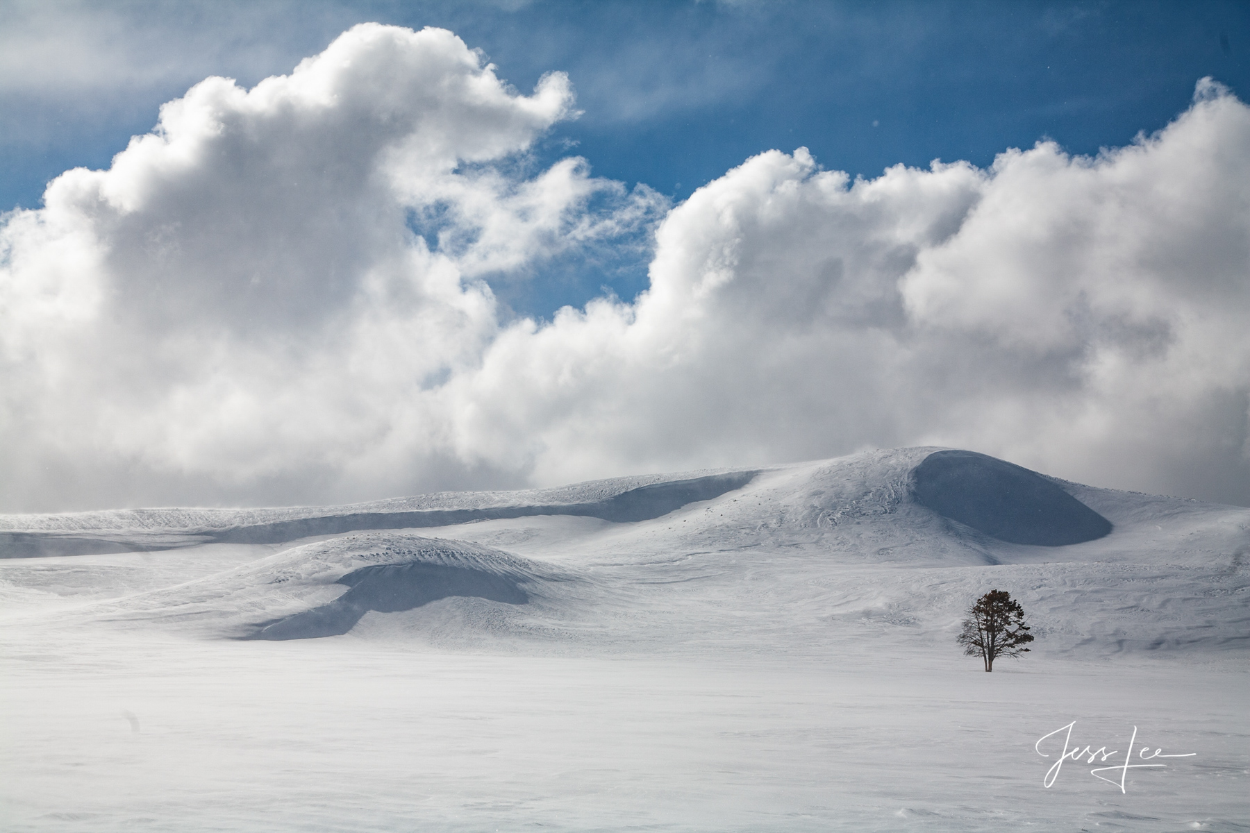 Yellowstone Art Print | Sunrise Photography Print cheapest | Winter Scenery | National Park | Wyoming